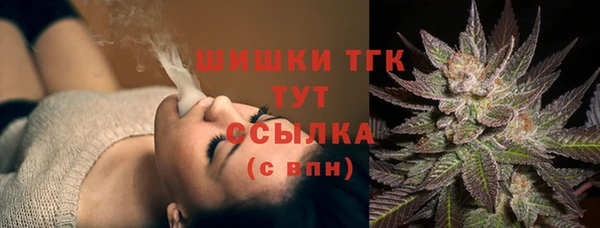 стаф Магадан