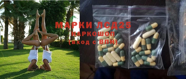 стаф Магадан
