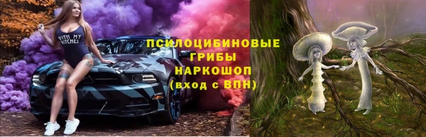 стаф Магадан