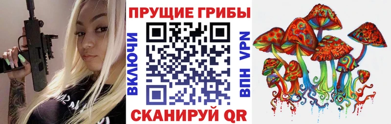 дарнет шоп  Кущёвская  Псилоцибиновые грибы мухоморы 
